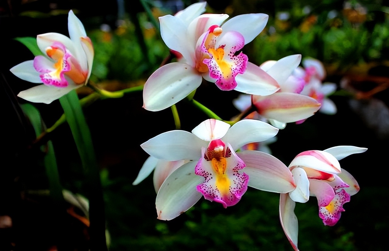 笑里藏刀的星座,星座分析城府很深很会遮眼的星座