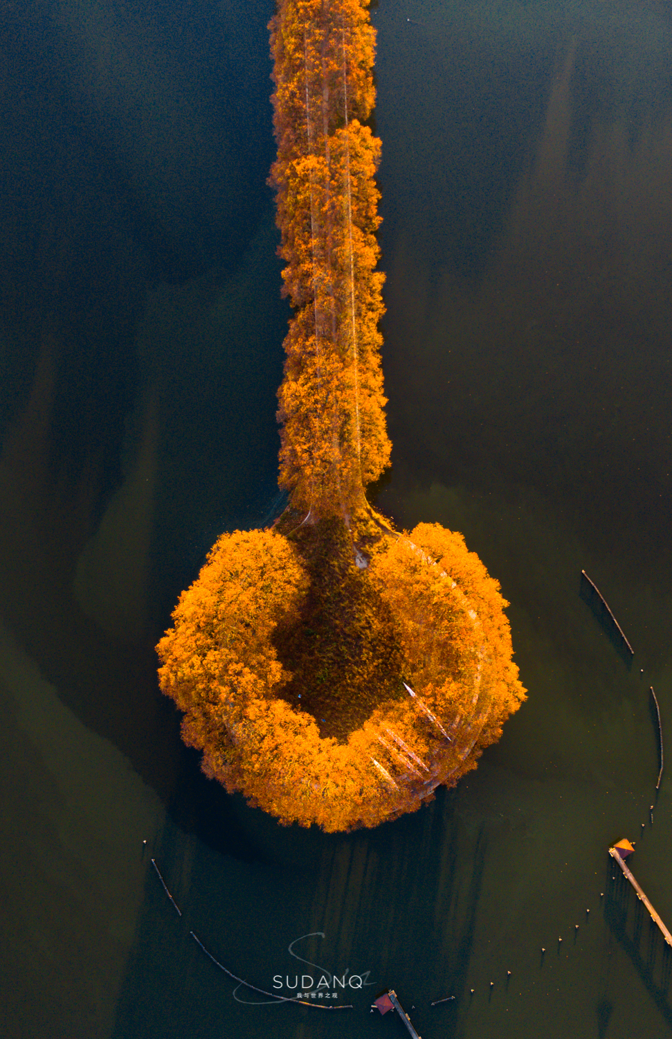 大自然塑造了我,大自然塑造者