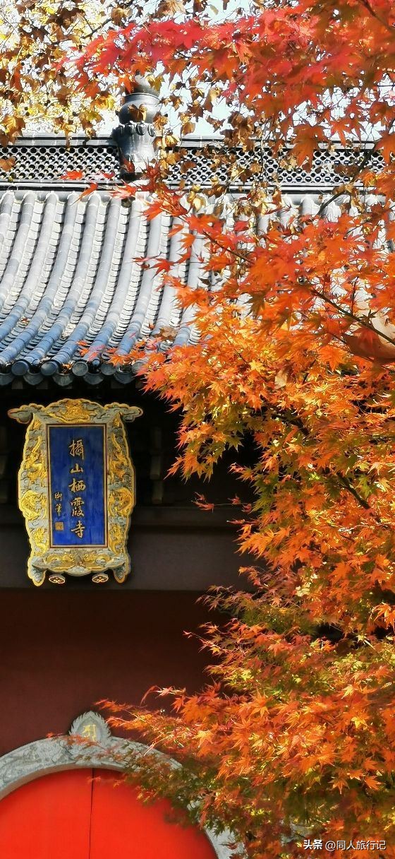 森林公园爬山图,会龙山旅游景点