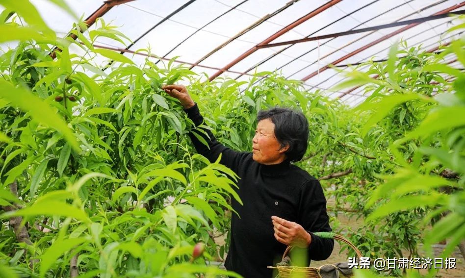 天水*光春**好田间备耕忙