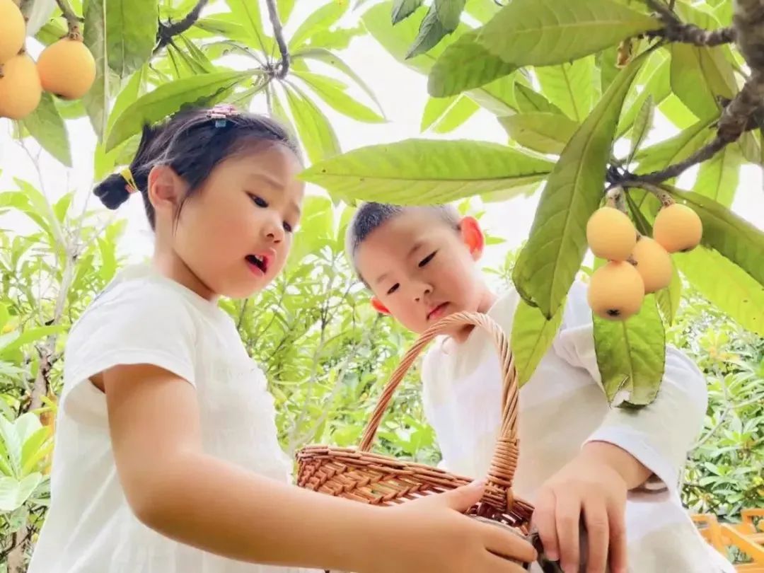 儿童友好幼儿园,儿童友好学校幼儿园