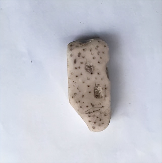 想知道娃儿在学校学习的情况,想知道孩子在学校的状况