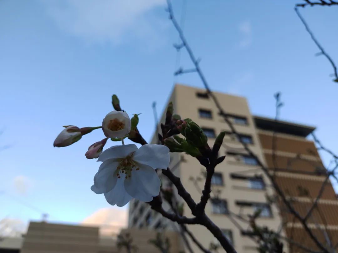 日本小哥回日本,日本小哥下班回家