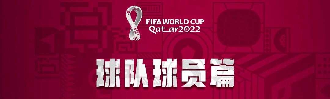 球迷必备的世界杯看球指南,世界杯球迷指南扫盲下