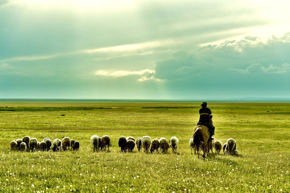 用宝鸡山水为《牧羊曲》配插图，日出嵩山坳，晨钟惊飞鸟