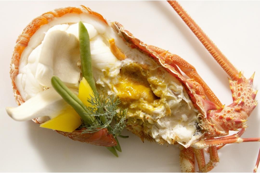 世界地图海鲜,澳大利亚最新海鲜图片