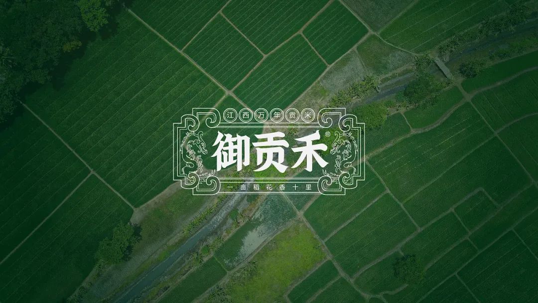 闀囨睙澶х背鍖呰璁捐,澶х背鍖呰璁捐娴欐睙