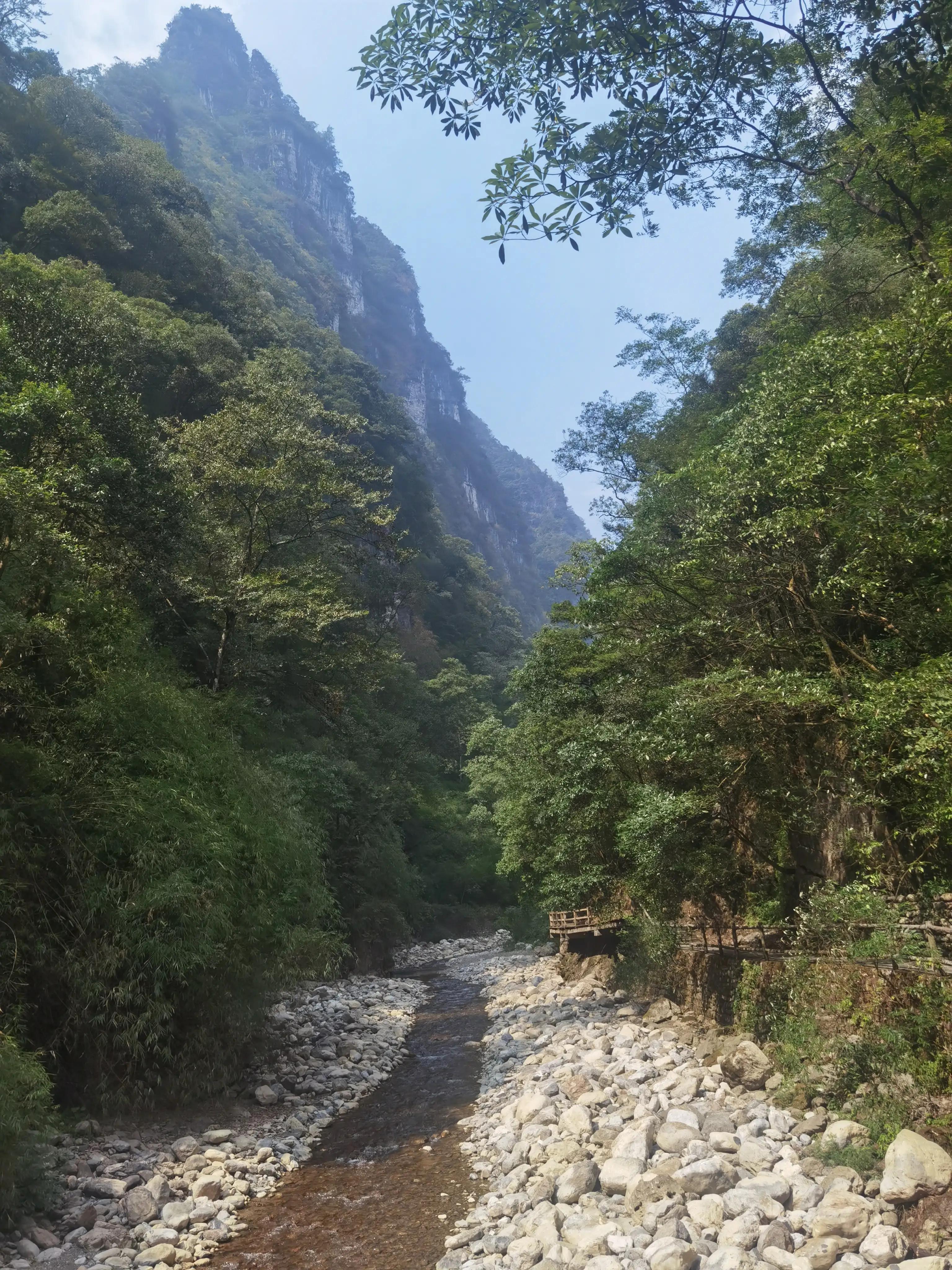 重庆到黑山谷的交通路线,重庆黑山谷旅游攻略美景图片