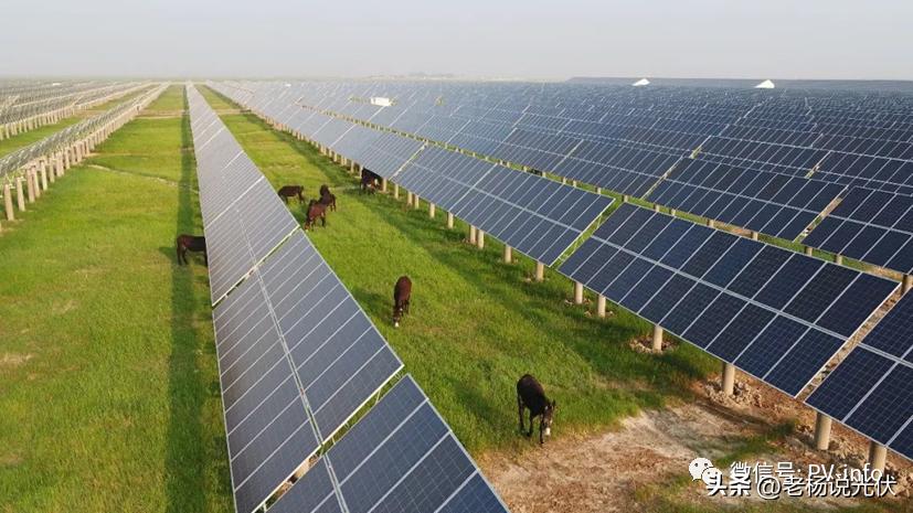 光伏项目里程碑,光伏项目案例分析