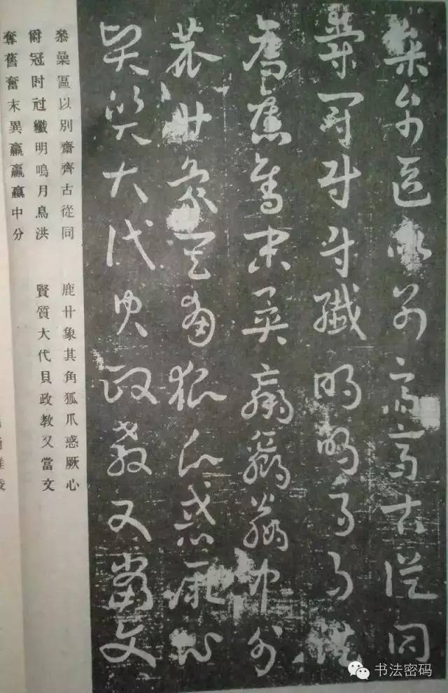 草书主要特点是什么书写有何技巧,草书意义和价值