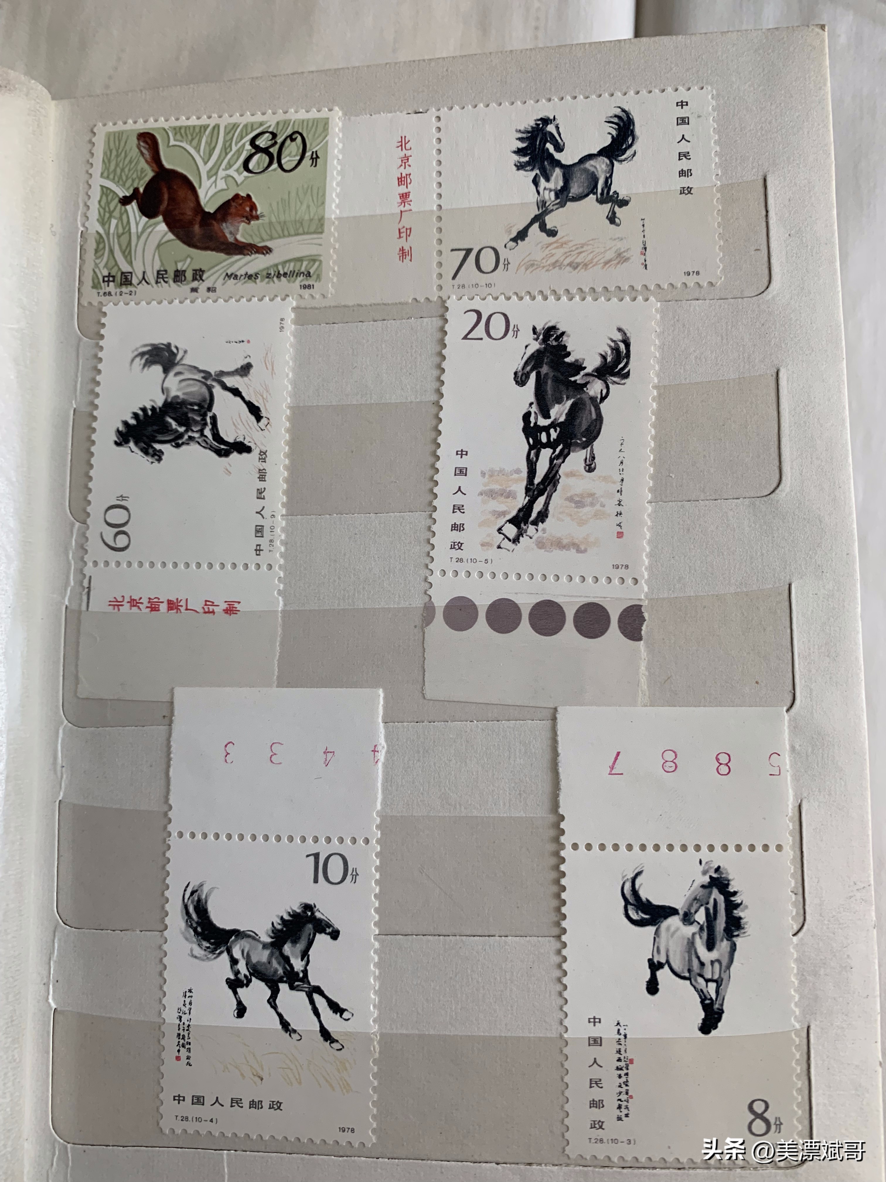 海淘绘本开箱,海淘购买开箱