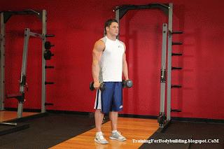 新手家庭健身一周训练计划,家庭哑铃健身计划一周表男士