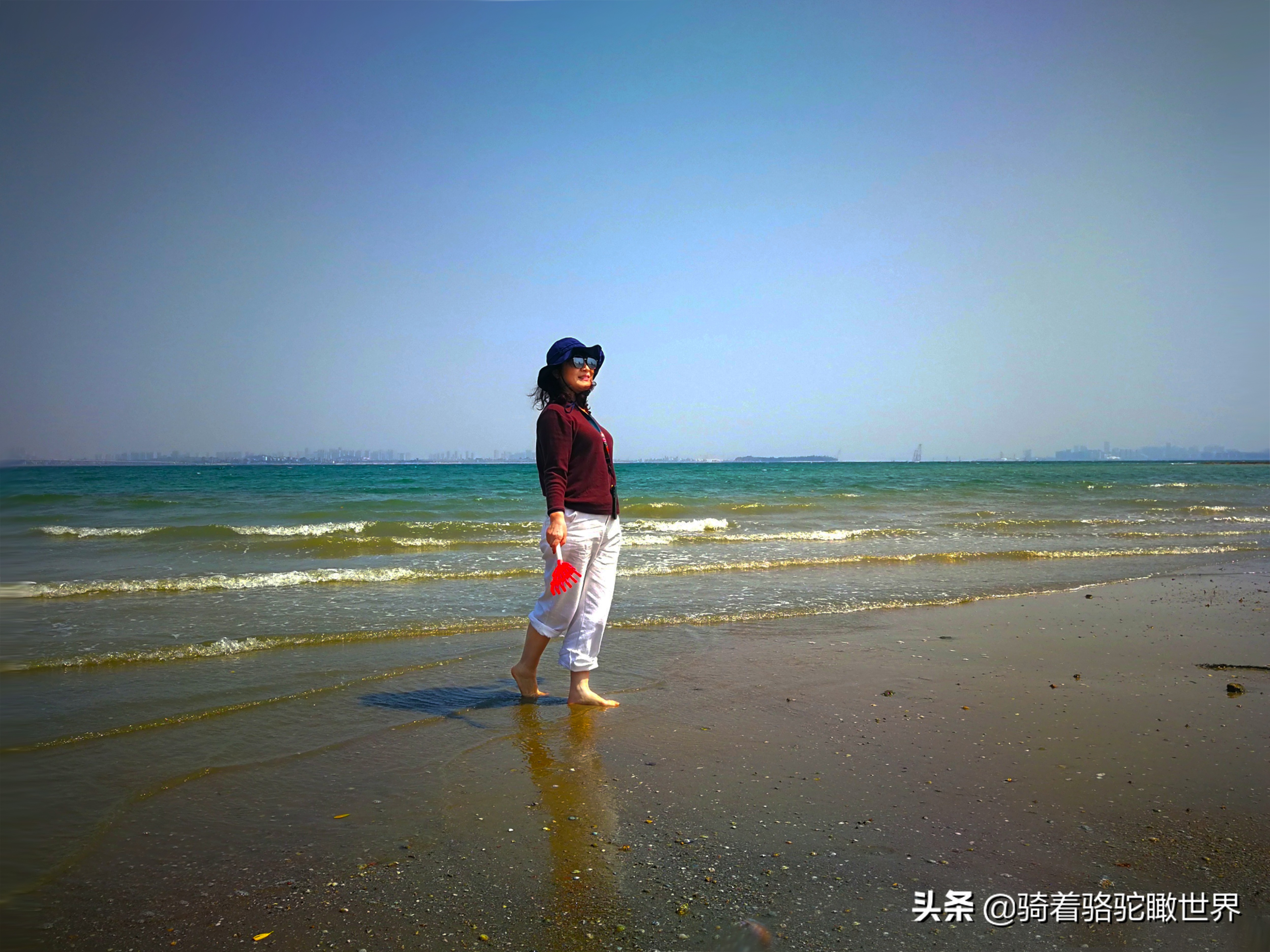 厦门彩虹沙滩赶海地方推荐,厦门鼓浪屿和彩虹沙滩