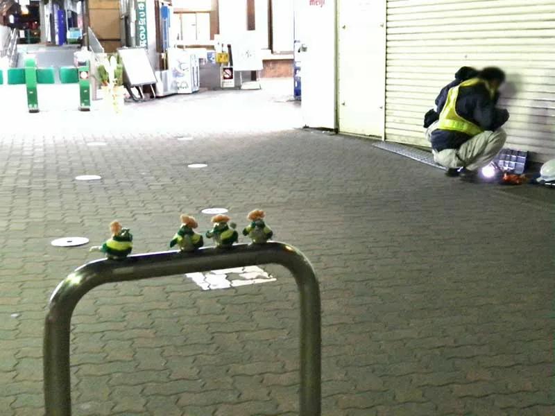 害怕小鸟受凉，有人悄悄为它们织了22年的毛衣