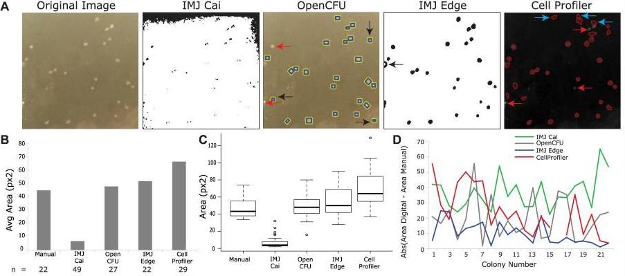 毛滴虫的营养源,毛滴虫营养源是什么