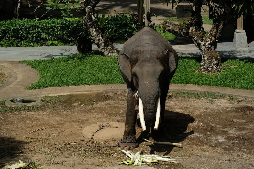 巴厘岛旅游必去100个地方,旅游目的地巴厘岛