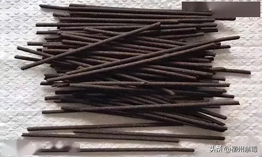 315打假的东西扔哪里了,315打假得物是真的吗