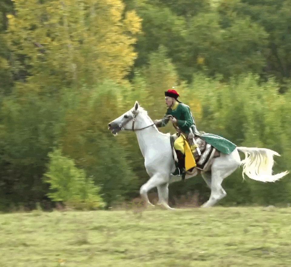 日本100种奇葩美食,日本八大奇葩美食