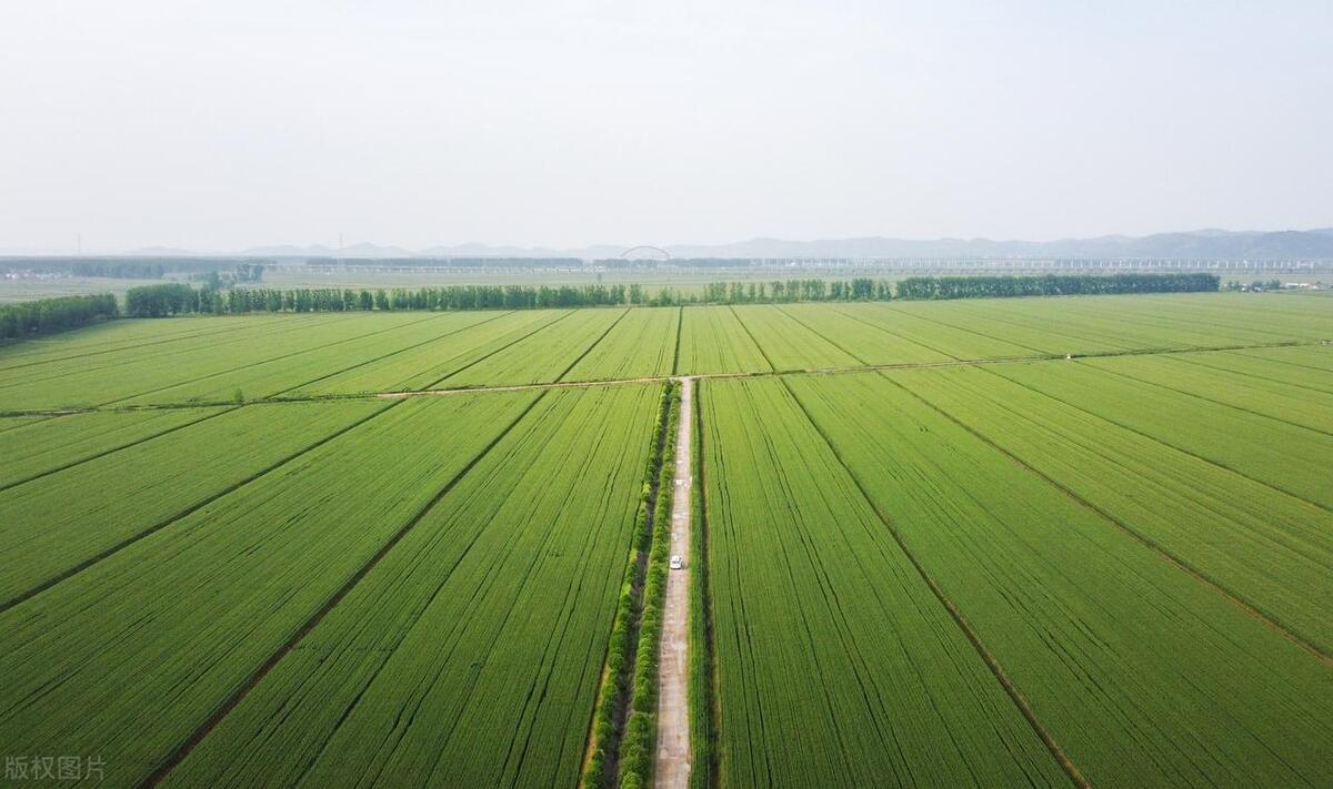 农业农村部最新发布高标准农田,国家高标准农田投入了多少资金