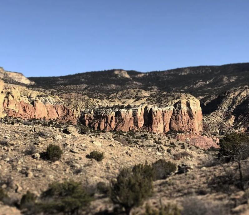 世界知名女画家独居沙漠35年！拒毕加索登门…网友：连家都是艺术