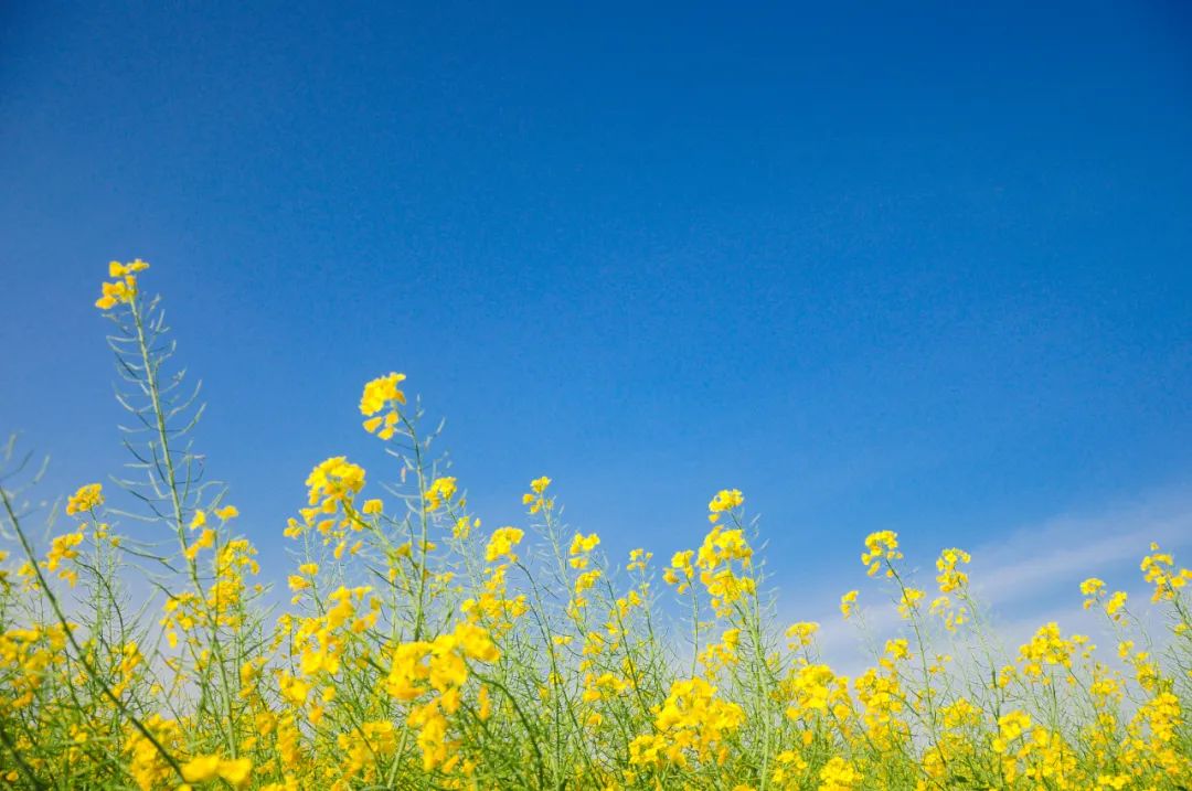 怎样才是正确的摄影拍摄姿势,学会这9个摄影技巧