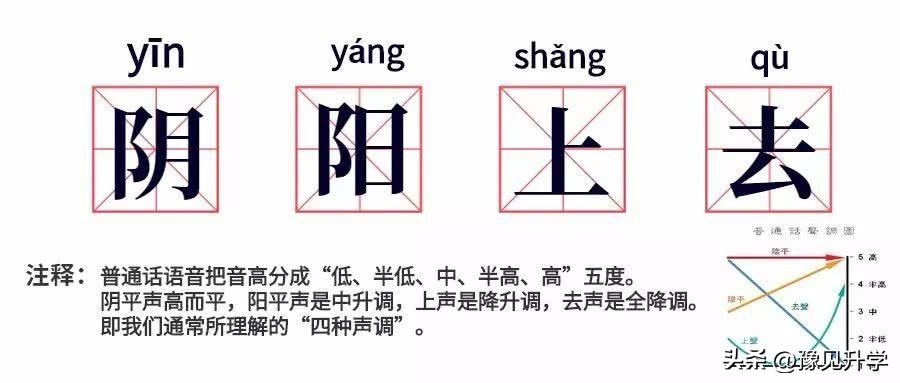 世界杯冷知识是什么意思,世界杯冷知识大全视频