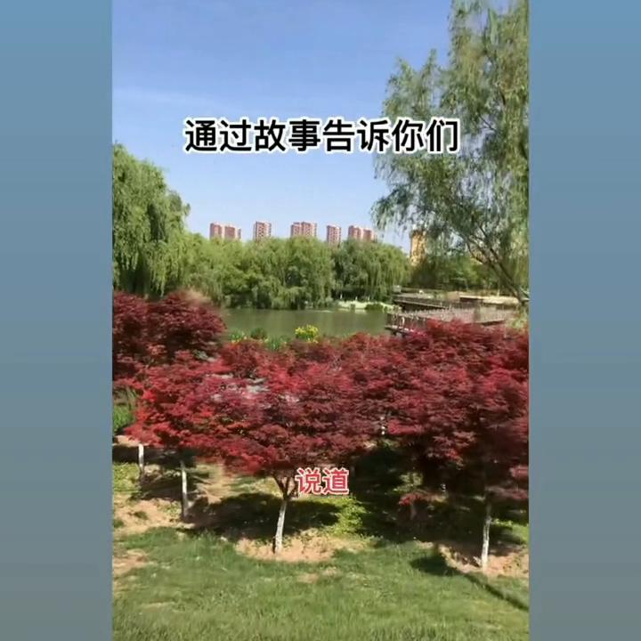 资本论利润率经典语录,资本论中关于利益的一句话