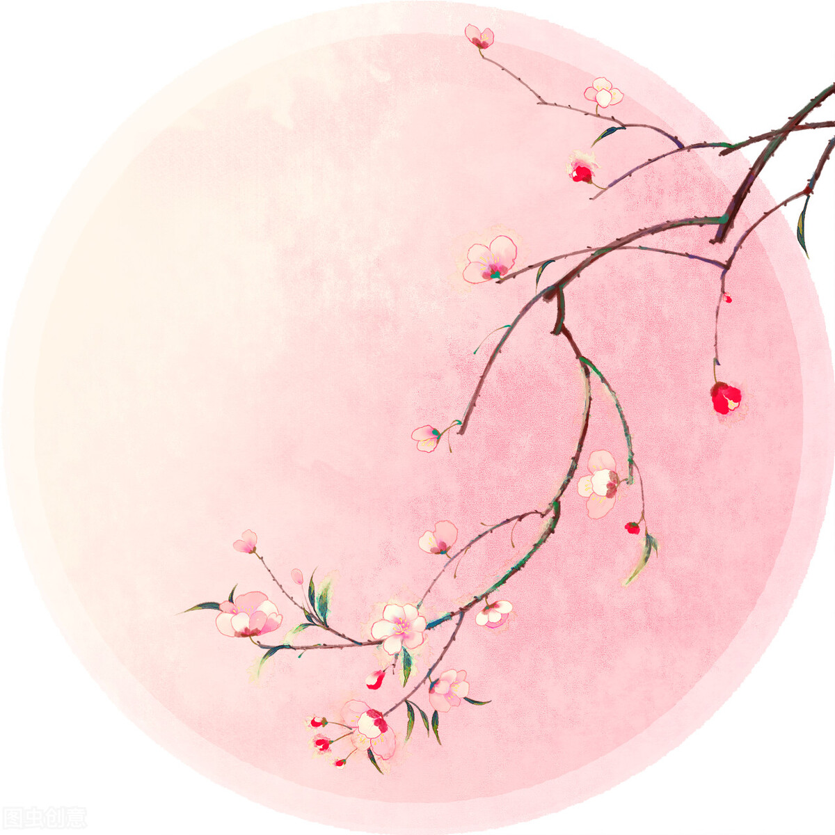 初中生作文写给妈妈的一封信,母亲初中作文范文原创手写