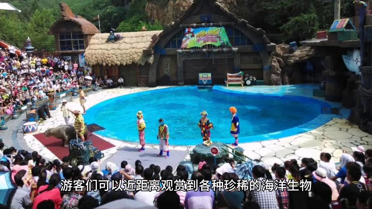 大连老虎滩海洋公园地图,辽宁大连老虎滩海洋公园