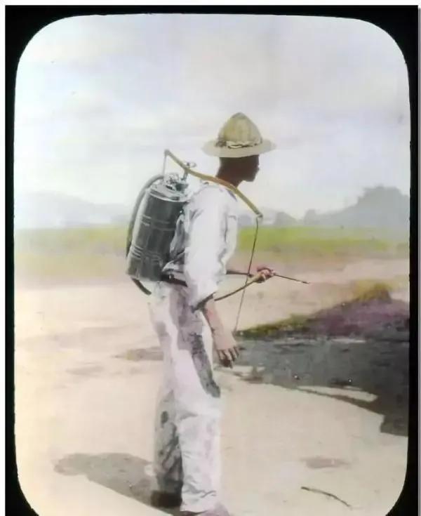 屠呦呦三无院士,屠呦呦一个人的事迹