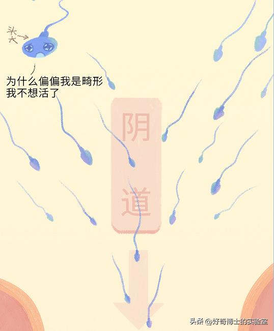 精子进入人体1小时变化,精子进入人体24小时变化