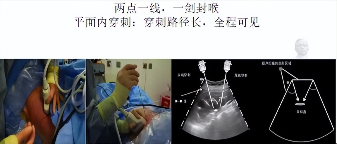 明知山有虎偏向虎山行神评论,明知山有虎偏向虎山行打一生肖