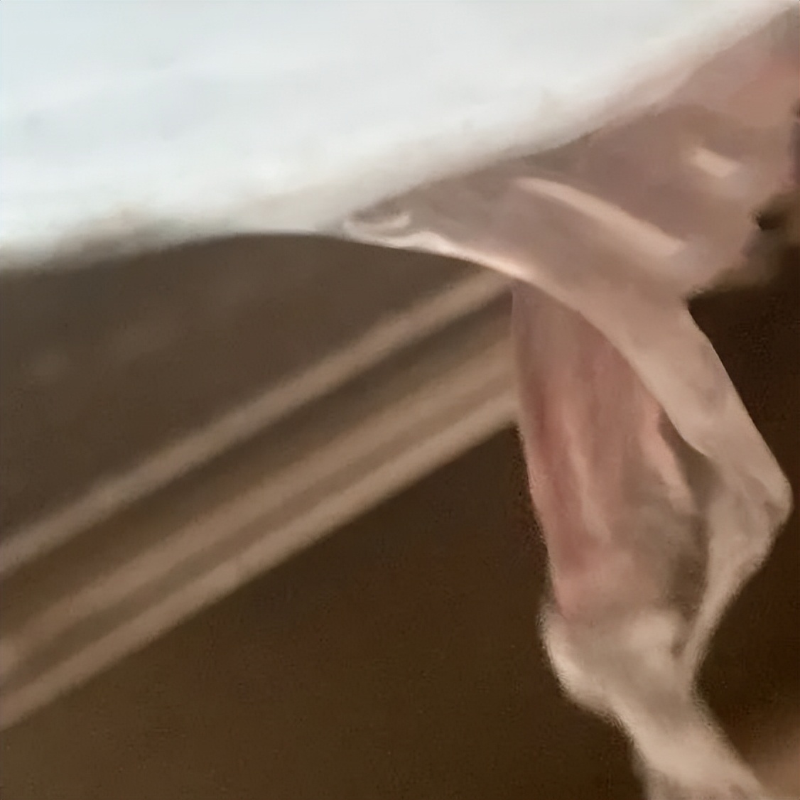 白带呈水样有血丝有腥臭味,孕18周有脓性白带带血丝