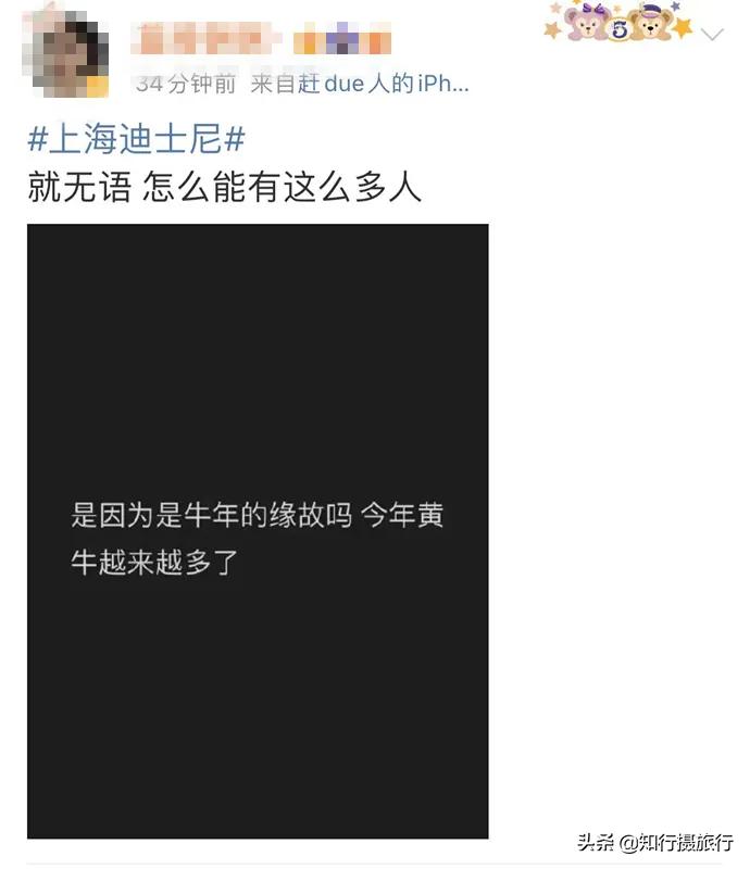 迪士尼买玩偶憋到尿血事件分析,迪士尼排队买玩偶一男子当场崩溃