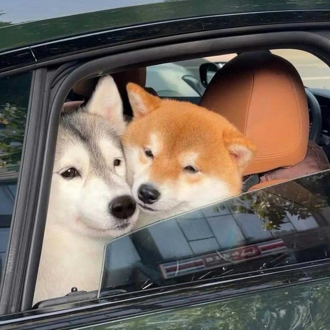 背景图一组个性,背景图一组精选朋友圈背景图