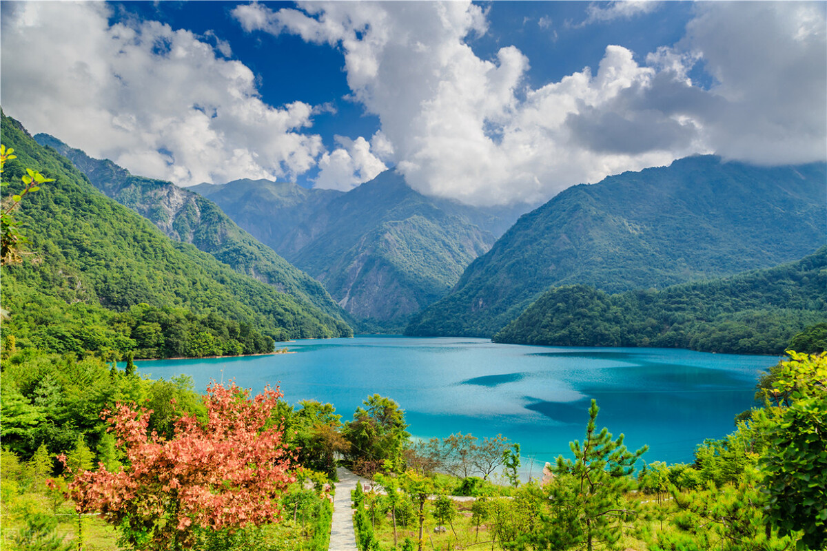 甘肃的什么地方的水果最好吃,甘肃的特色水果是什么