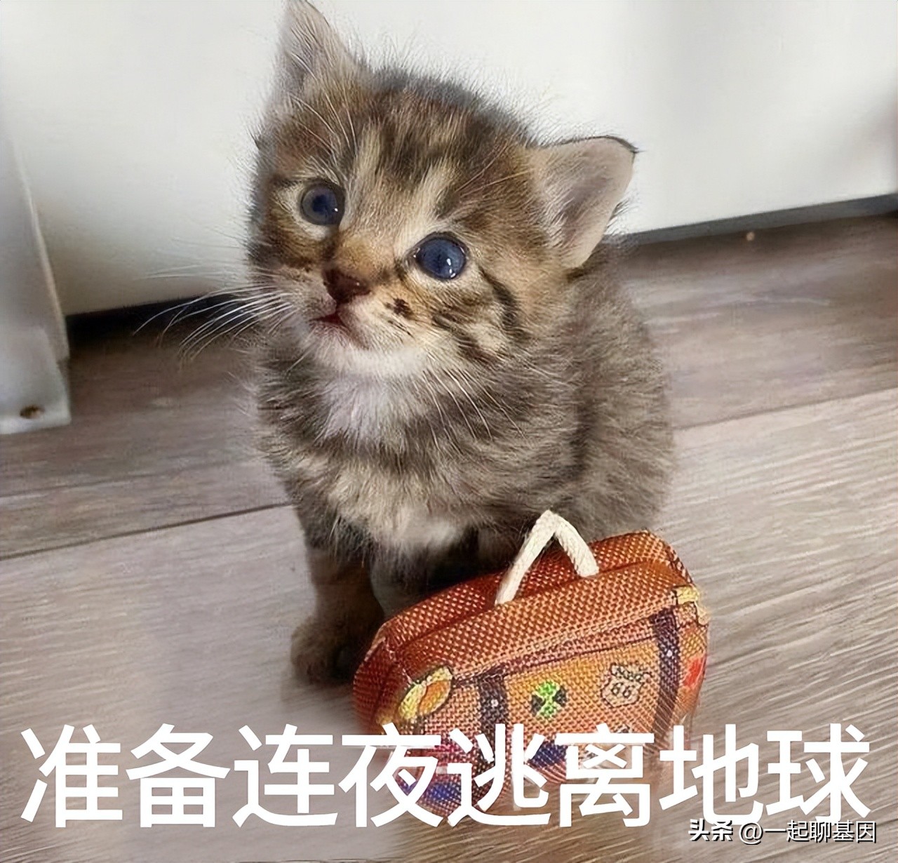 如何在公共场合防止放屁,如何在公众场合阻止放屁