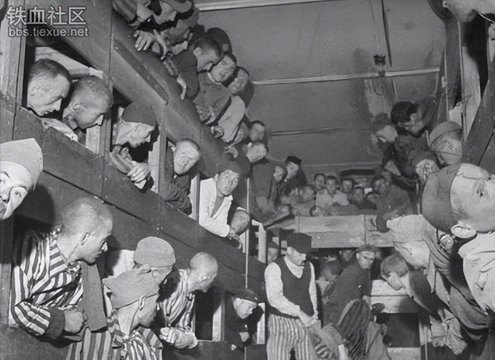 关于阿迪跟彪马的故事你知道吗,阿迪彪马爱恨情仇