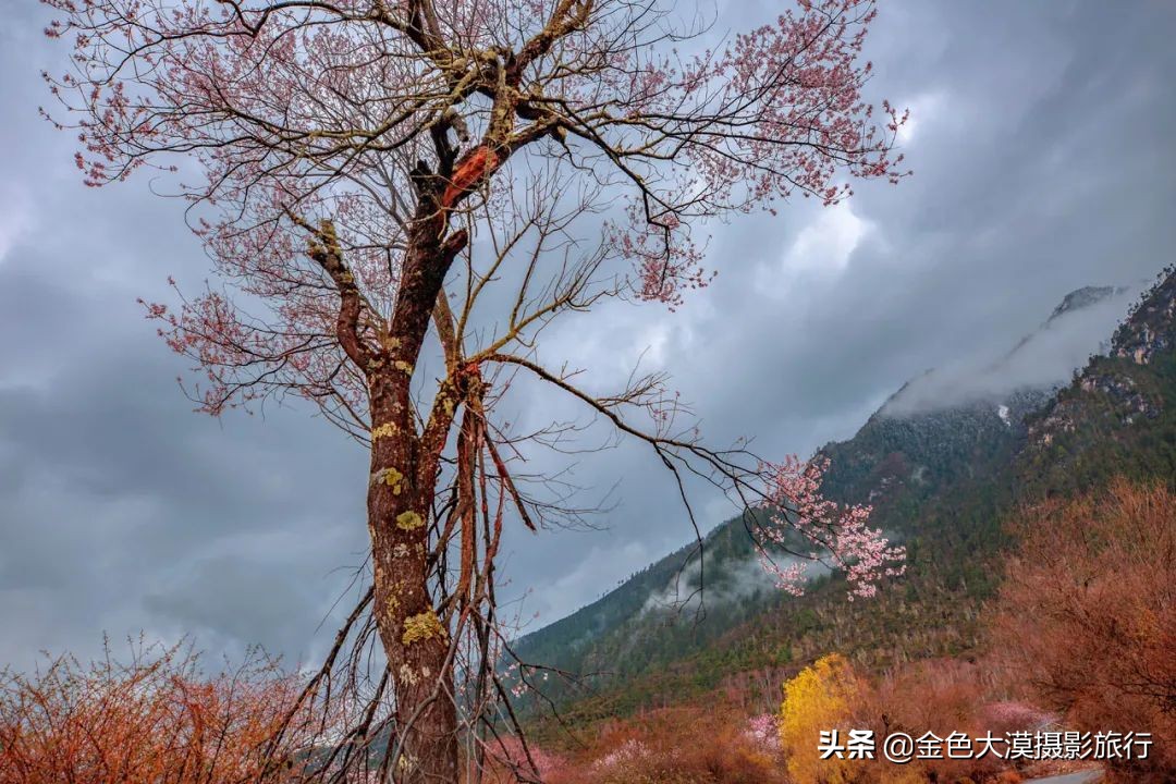 3月份去西藏林芝,3-4月去西藏林芝好玩吗