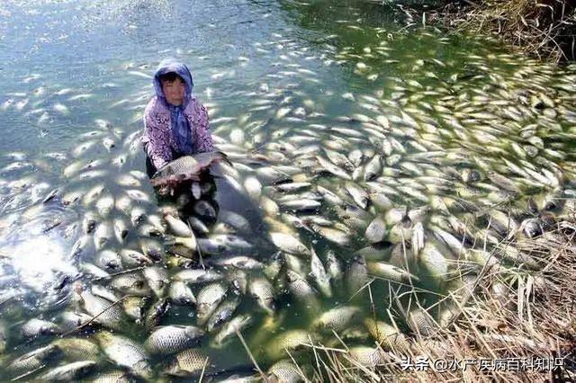 什么情况下翻塘,如何应对翻塘