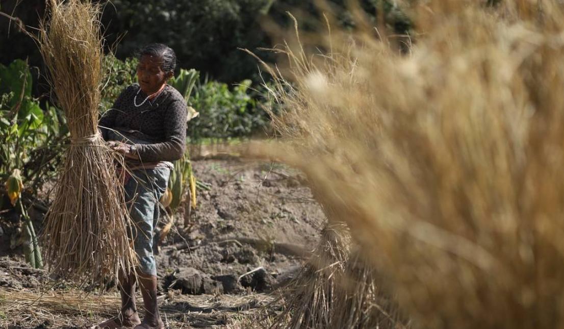 尼泊尔真的是一妻多夫制度吗,尼泊尔的一妻多夫制