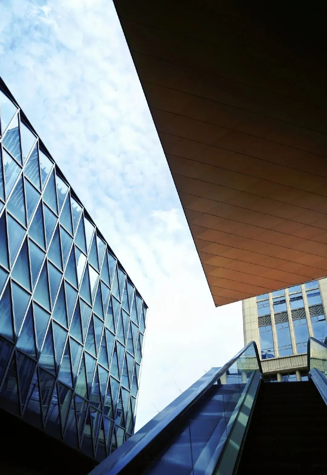 鸽王争霸,鸽王争霸赛开幕