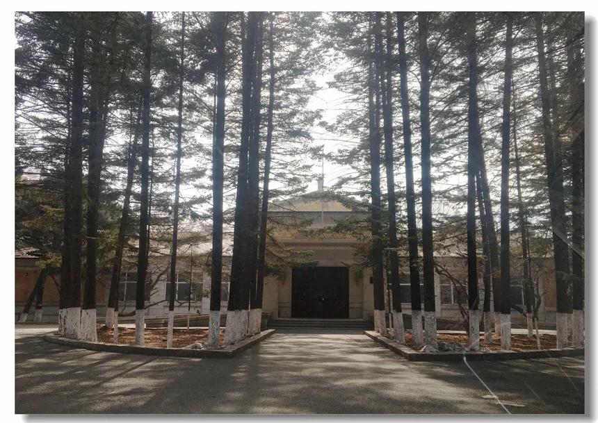 打卡人世间拍摄地,长春人世间取景地宾馆