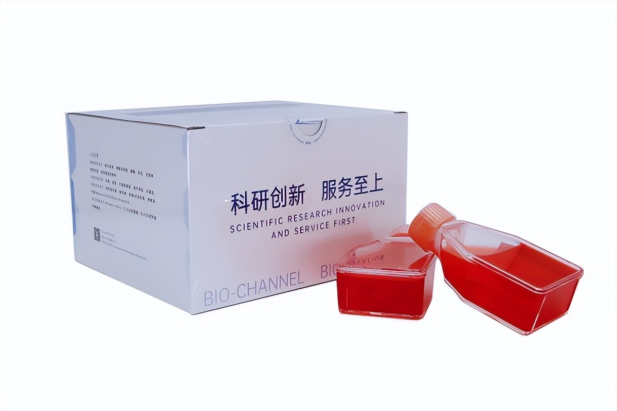 hela细胞复苏步骤,hela细胞是什么细胞