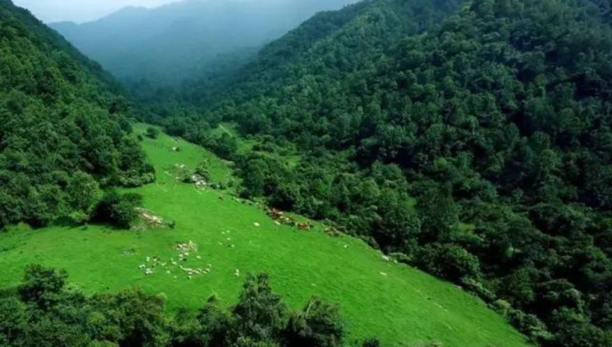 位于秦岭深山处的小山村,秦岭隐秘的山村