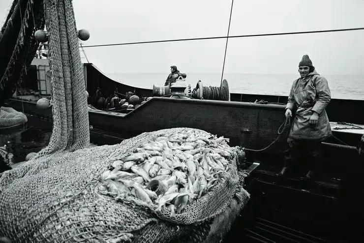 日本群岛附近的世界四大渔场之一,我国四大渔场和四大盐场分布图