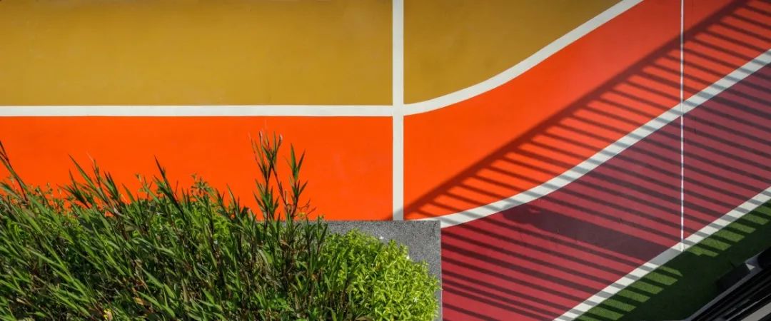 运动社区体育公园,运动主题社区