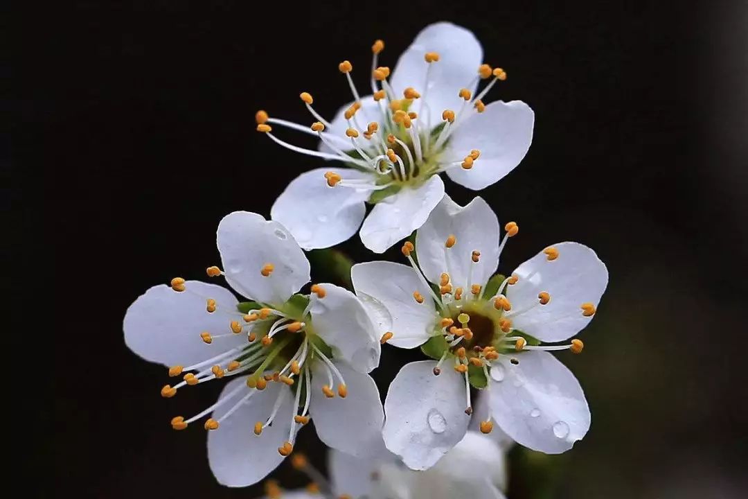 感冒鼻炎几天才能好,感冒与鼻炎症状区别