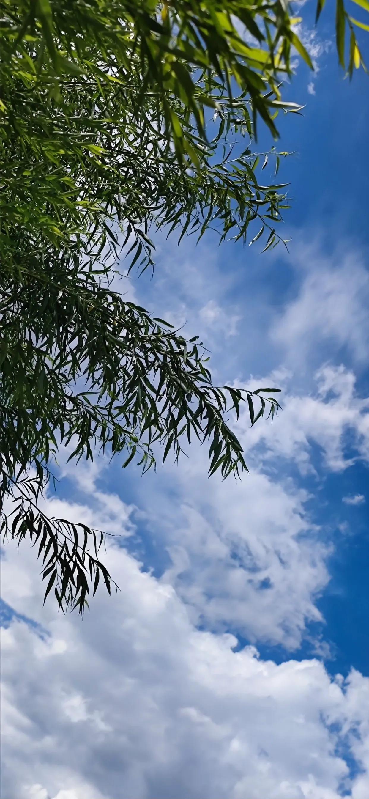 苹果14超清壁纸图片,苹果14高清壁纸4k全屏动漫