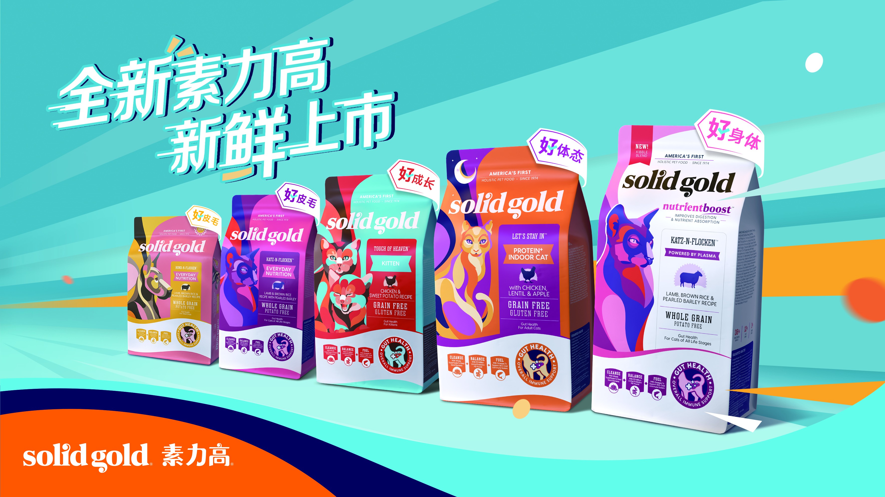 健合集团年报,健合2022年上半年业绩报告